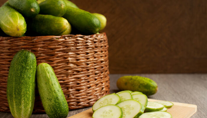 14 Human Foods That Cats Can Safely Enjoy