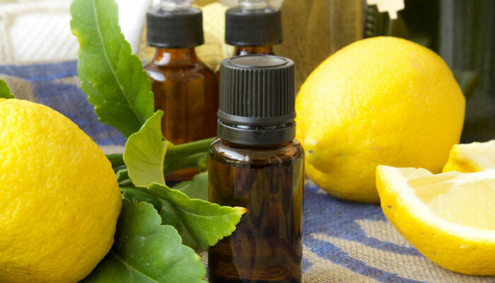 8 natural scents that repel mosquitos