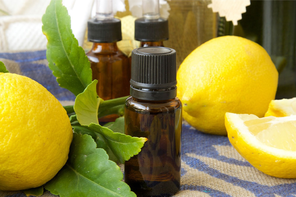 8 natural scents that repel mosquitos